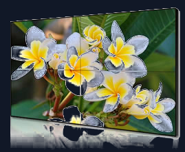 55" 3.5mm Distributed Video Wall Video Wall